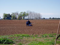 Soil Testing